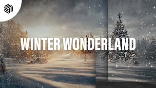 Blaze U - Winter Wonderland (Techno Remix)