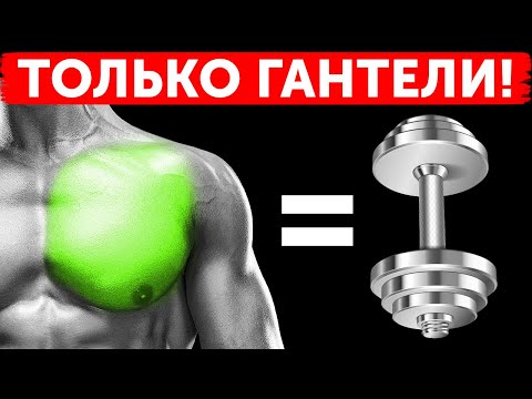 YouTube видео