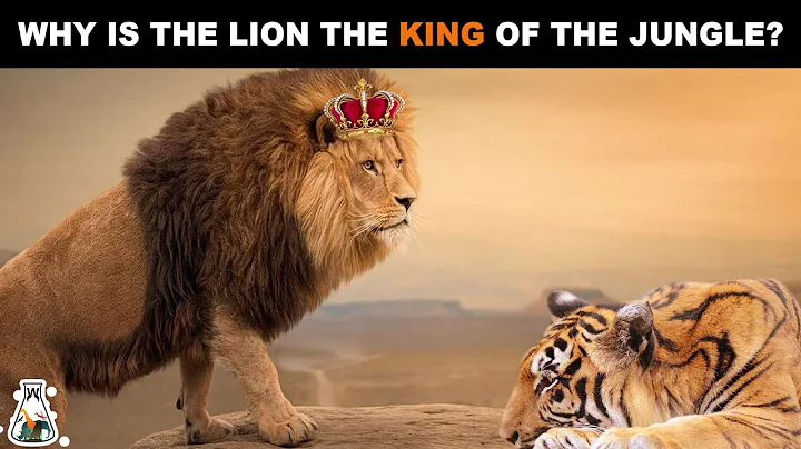 Why are lions the king? (2023)