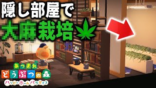 普通の部屋に見せかけて違法な草を育ててる栽培部屋#4【悪いあつまれどうぶつの森 ハッピーホームパラダイス】