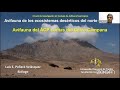 Avifauna de los ecosistemas deserticos del norte del Peru #ornitologia #cultura mochica