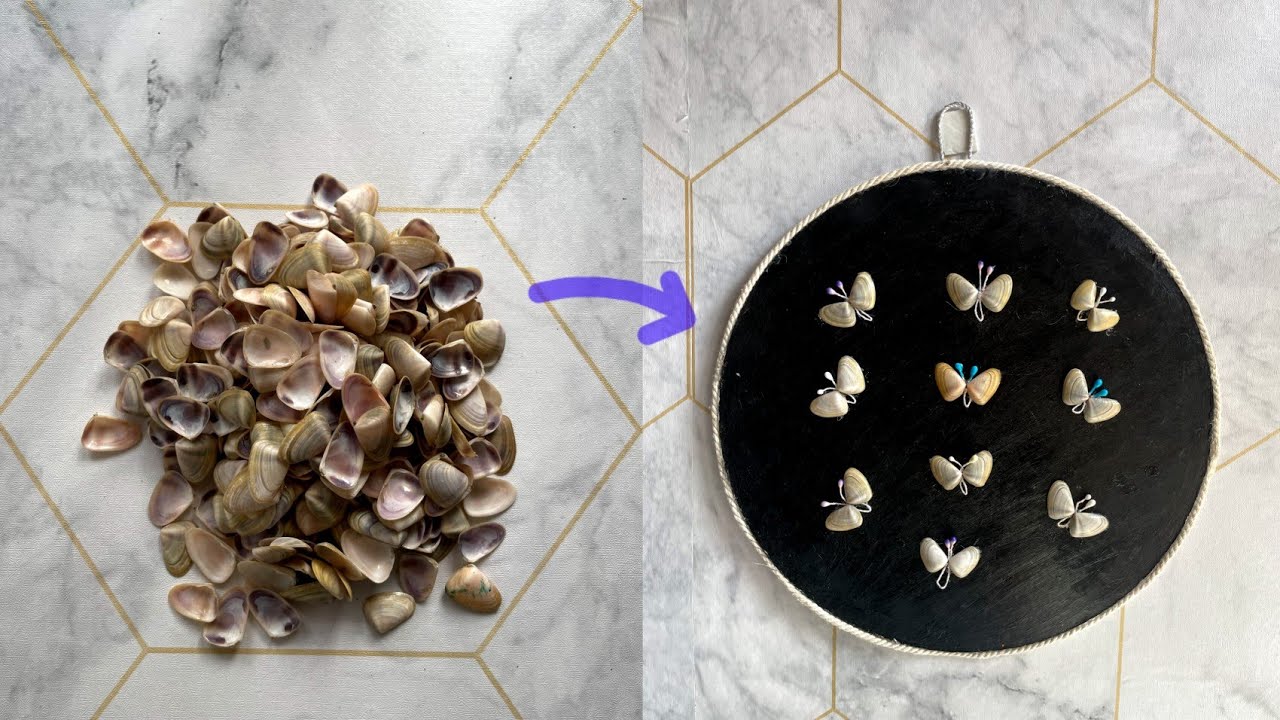 Beautiful Butterfly wall hanging using sea Shells | Sea shell butterfly ...