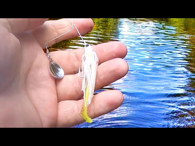 Catch Way More Bass With Spinnerbaits 