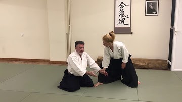 Hanmi Handachi Waza Katatedori Gyaku Hanmi Shihonage Omote