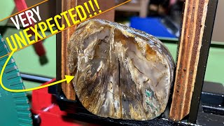 Cutting Spectacular Petrified Wood With A Lapidary Saw Montana Rockhounding