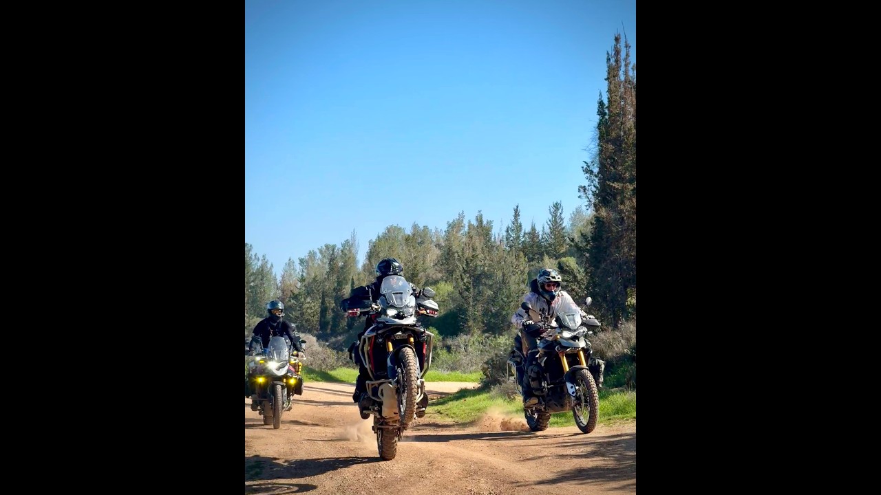 אדוונצ'ר מלכותי בשבת 31/01/2026