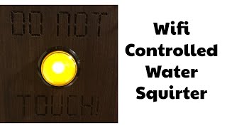 Wifi Controlled Water Squirter - Do Not Touch!