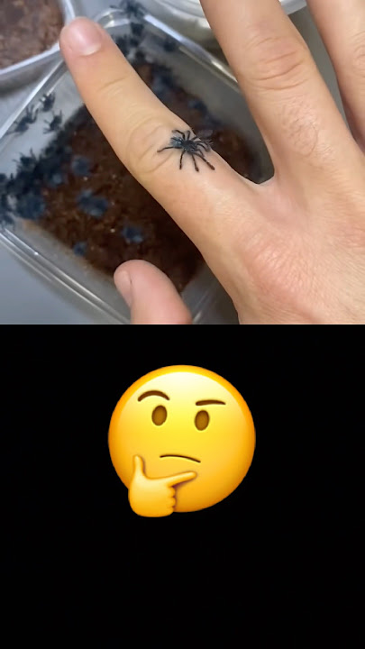 Wait for the transformation 🤯 #animals #shorts