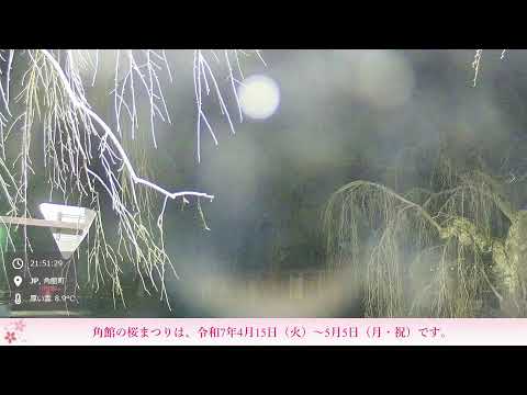 角館武家屋敷通りライブ映像