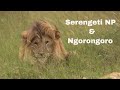 Africa round trip 2018 (HD) - IV: Serengeti NP & Ngorongoro Crater - Tanzania