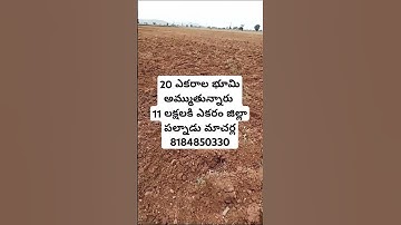 Thumbnail of Land For Sale || #landforsale #agriculture #realestate #farming #farmer #palnadudistrict