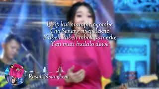Difarina Indra - Rasah Nyangkem || Yen ra seneng rasah nyangkem|| (lyrics)