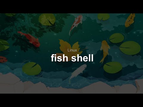 Mettre en place un serveur Web (11/28) : Shell fish