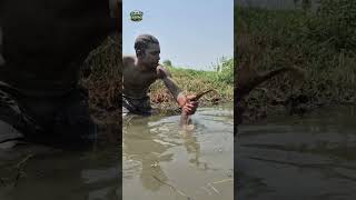Best Big Unique Monster Fish Hunting By a Simple Fish Trap