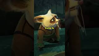 Why did Oogway chose Po as the dragon warrior #kungfupanda #moviefacts #facts