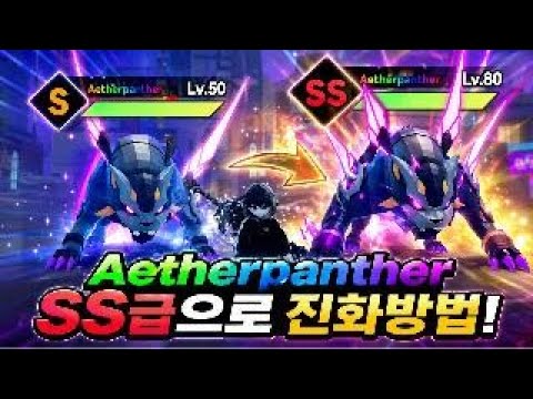 Aetherpanther SS급 진화 방법 공개🔥 S→SS 핵심 꿀팁 총정리!