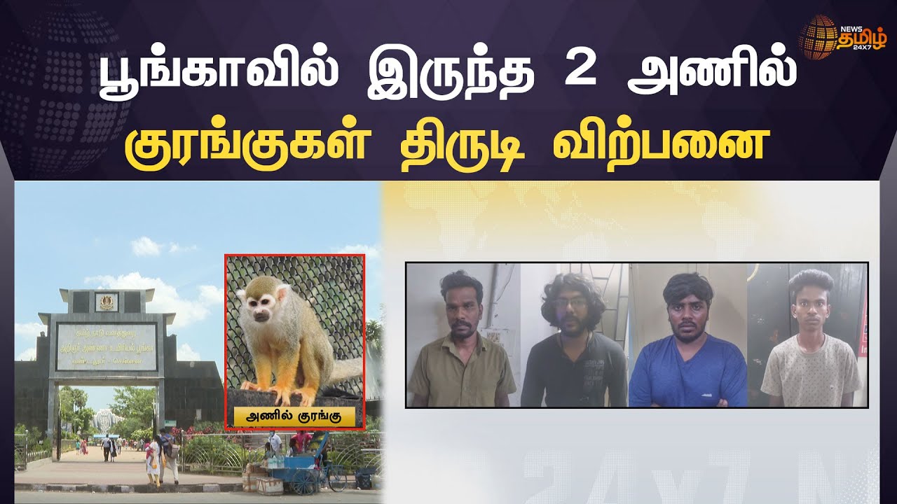  2 3 News Tamil 