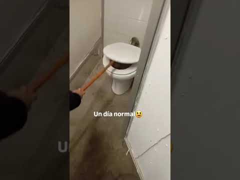 sorpresa marron