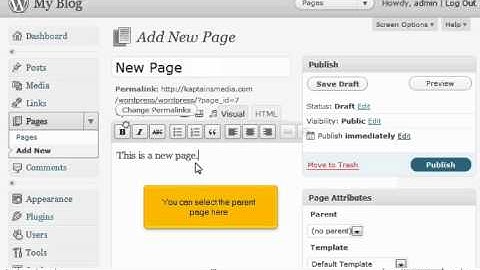 How to manage pages in WordPress by WPWebHost