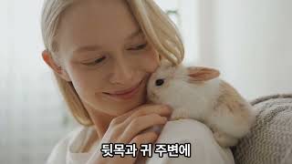 귀에서 삐 소리가 멈추지 않는다면 이명은 귀가 아니라 뇌가 보내는 SOS 신호#건강정보  #이명치료 #뇌로 인한 이명