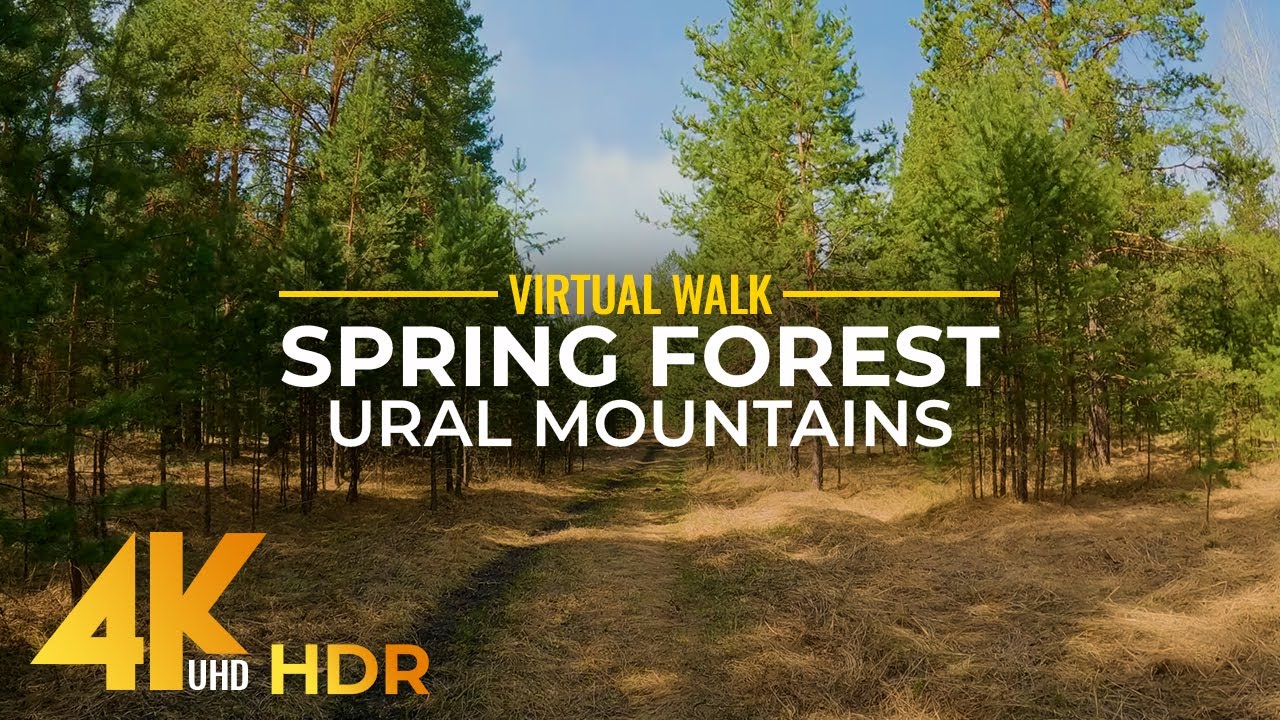 4K HDR Forest Walk with Scenic Views and Nature Sounds - Spring in ...