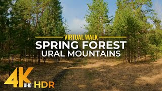 4K HDR Forest Walk with Scenic Views and Nature Sounds - Spring in Southern Ural Mountains