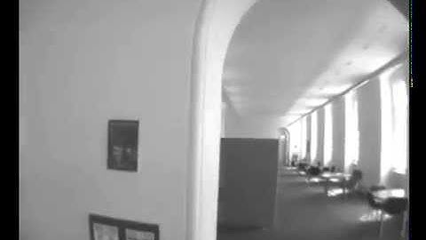 Dynamic Emergency Exit Sign Experiment