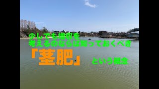 諸刃のツルギ！？増収間違いなし！？「茎肥」という概念が面白すぎる！！