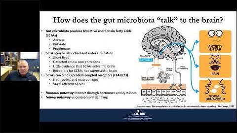 Exercise, Diet, and Gut-Brain-Axis: Webinar Series on Gut-Brain Axis and Microbiome – Illinois