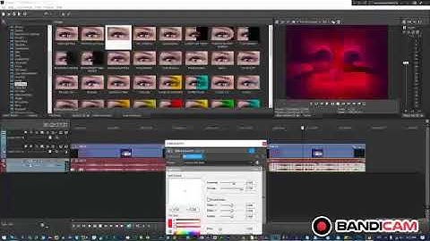 How to Make an Effects on Sony Vegas 7.0 Video Speedrun Be Like