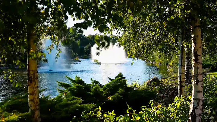 10 HOURS Bird Songs on the Moraine Lake, Canada Nature Relaxation | White Noise for Studying