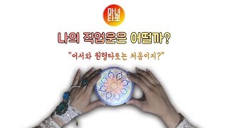 [타로카드/취업운/직장운/합격운] 나의 직업운은 어떨까?