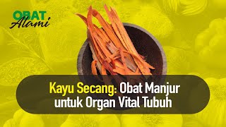 Manfaat Kayu Secang Bagi Kesehatan Jantung | Hidup Sehat tvOne