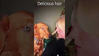 Friendship between dogs and their owners is the strongest 🖤🐶 #dogs #doglove #heartwarming #foryou