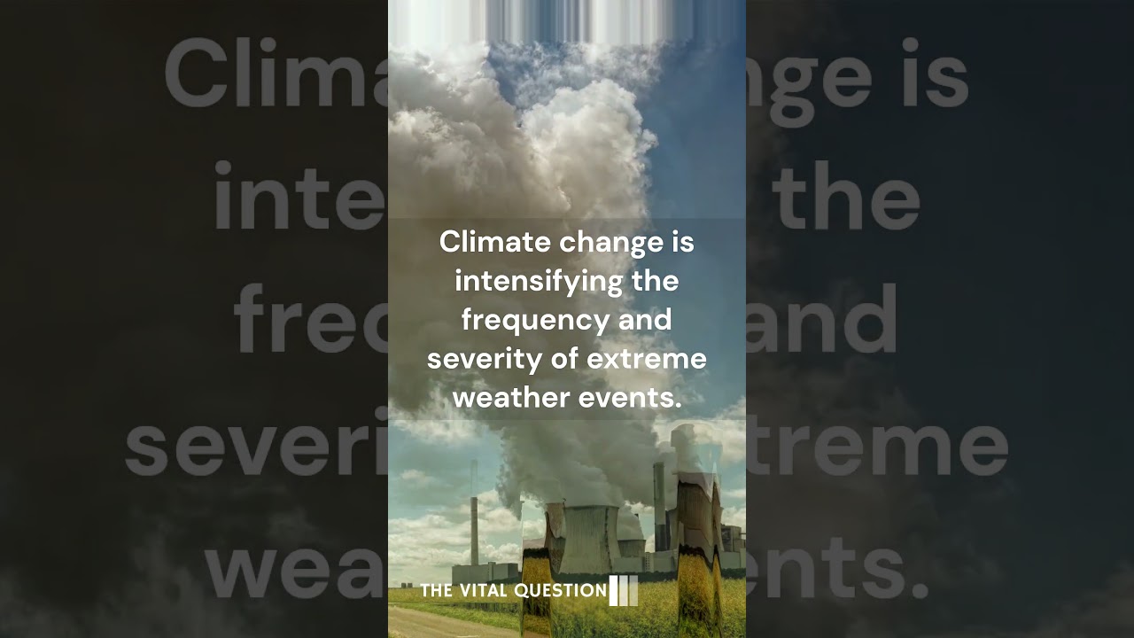 Urgent Call for Climate Action: Orchestrating a Sustainable Future