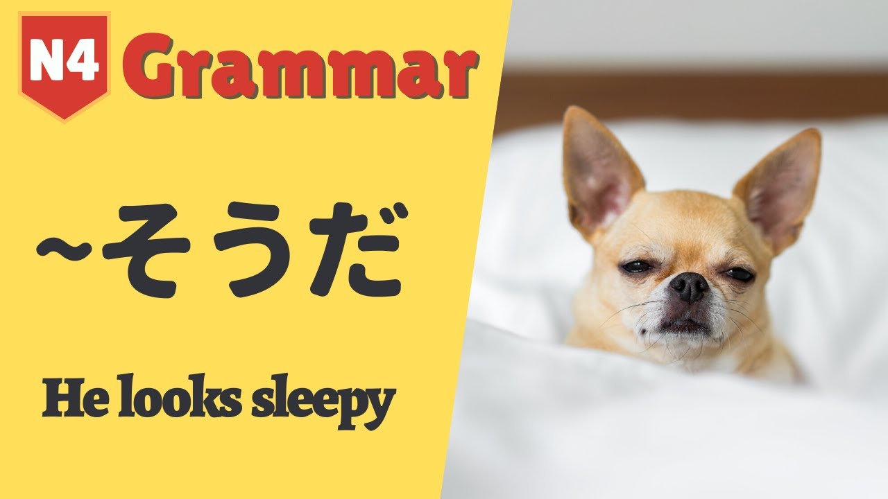 JLPT N4 Japanese Grammar Lesson「そうだ」日本語能力試験 文法 (with example sentences)