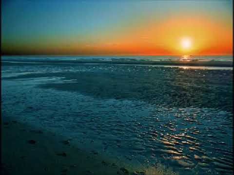 Bee Gees  - The turning tide