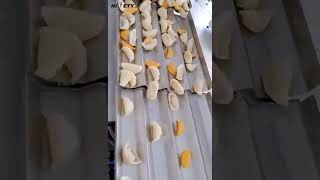 Celebrity Frozen food filling, not by weighting packing , but by counting filling . #fillingmachine #packing Net Worth