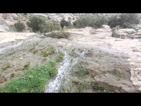 واد زيتون تونس