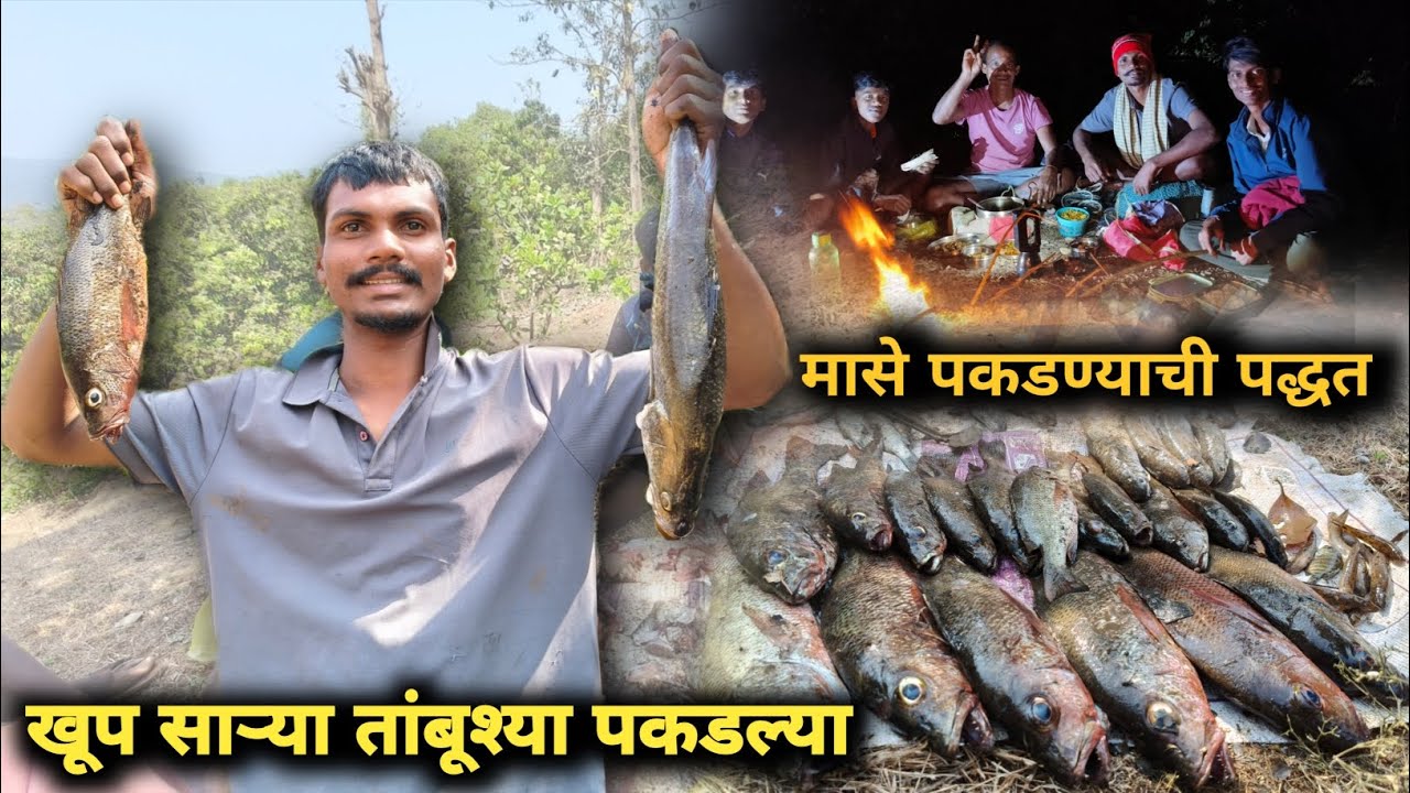 खूप साऱ्या तांबूश्या पकडल्या 🐟🐠 | मासे पकडण्याची पद्धत | #kokan #fishing #मासेमारी 