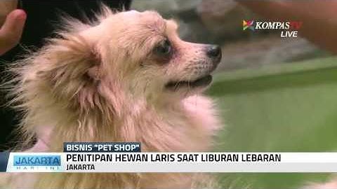 Bisnis Pet Shop Terbilang Menjanjikan