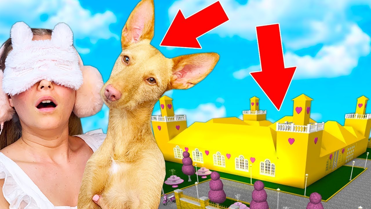 My Dog Decides What Mansion I Build In Bloxburg Roblox Youtube