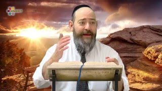 Rabbi David Kaplan - Weekly Torah Portion: Kedoshim