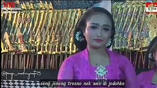 Story wa wayang ki seno bikin baper