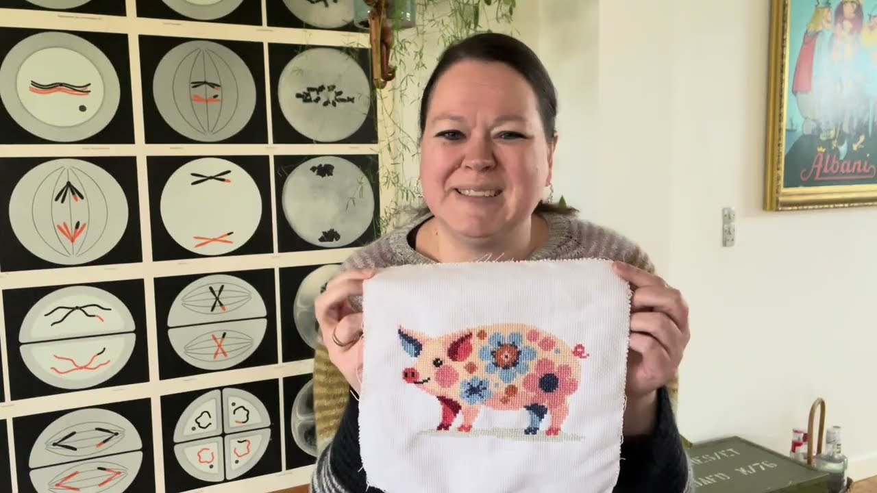 Særafsnit - broderi og mere broderi