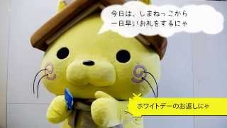 しまねっこにゅーす 2014/03/13 しまねっこにゅーす 2014/03/13