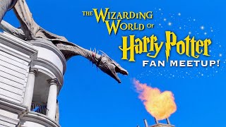 Wizarding World of Harry Potter Fan Meetup with AMAZING Cosplay | Friends, Food, and FUN