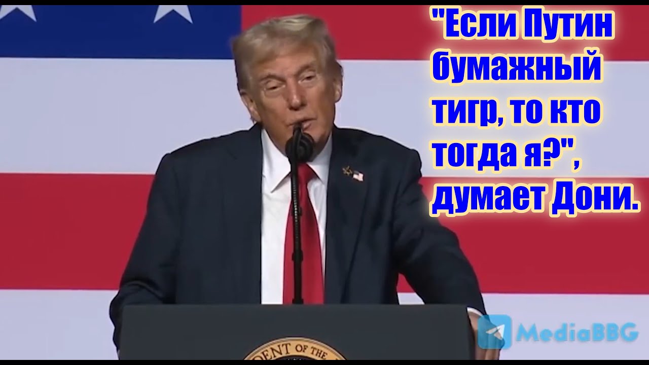 Путин бумажный тигр а Дони
