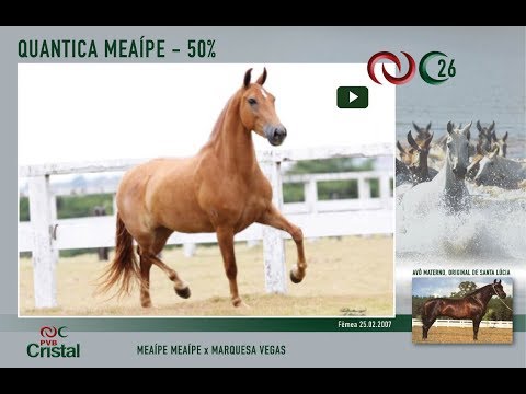 Quântica Meaípe
