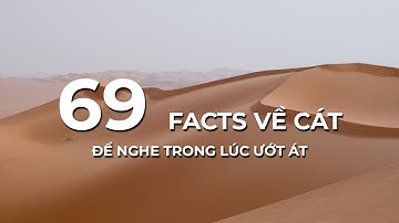 69 FACTS về CÁT CỰC KHÔ để bạn không nghĩ về chuyện ƯỚT | SAMURICE